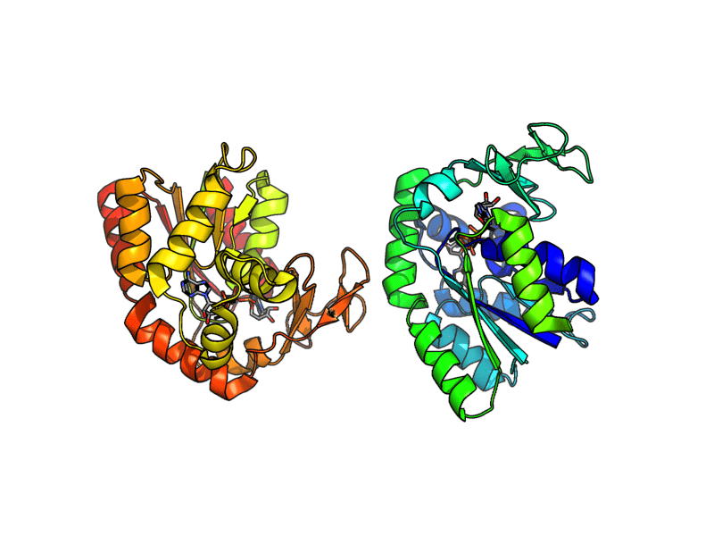 Protein Structure