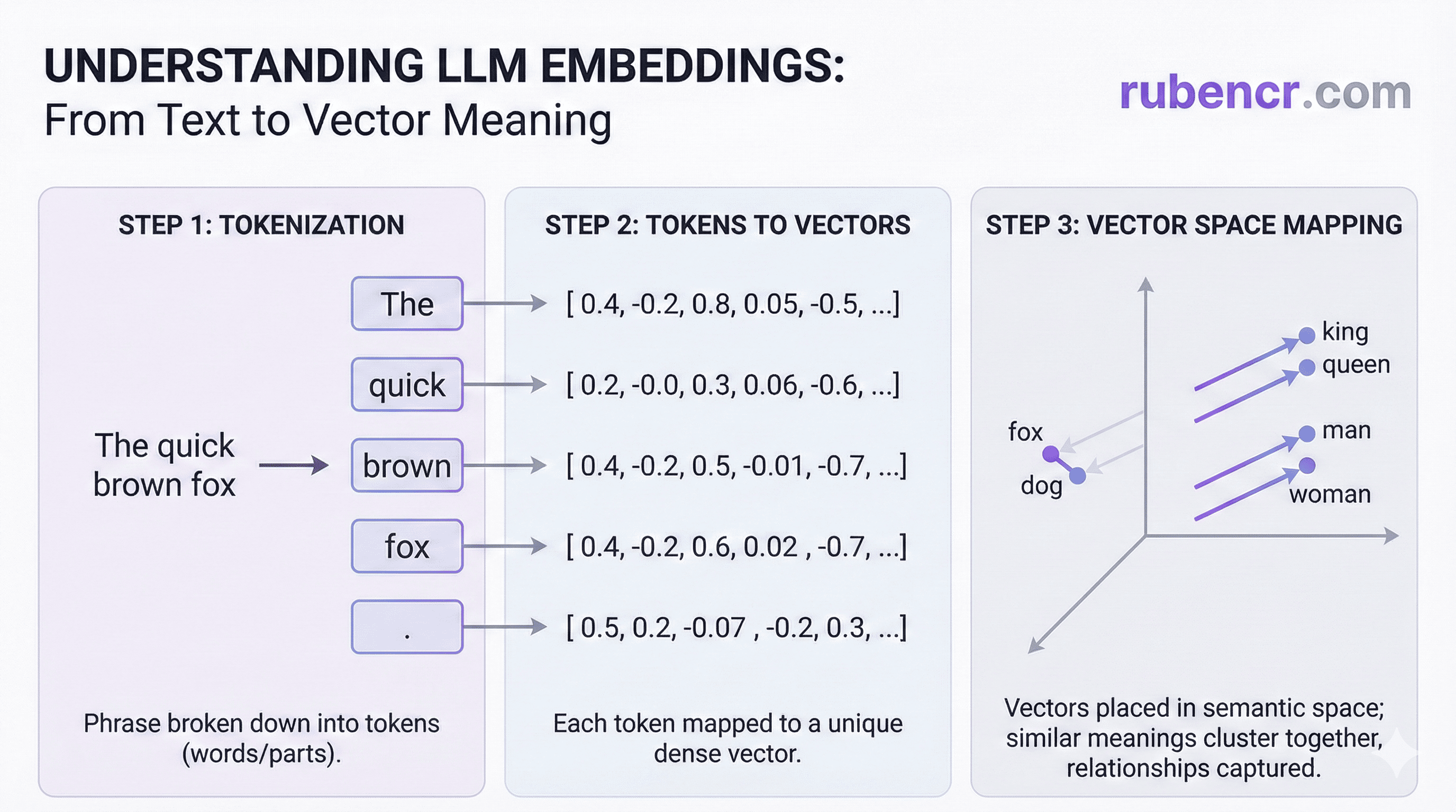 This infographic illustrates how LLMs transform text into numerical data by first breaking phrases into tokens and then mapping them to dense vectors. These vectors represent words in a high-dimensional space where proximity captures semantic meaning and logical relationships.